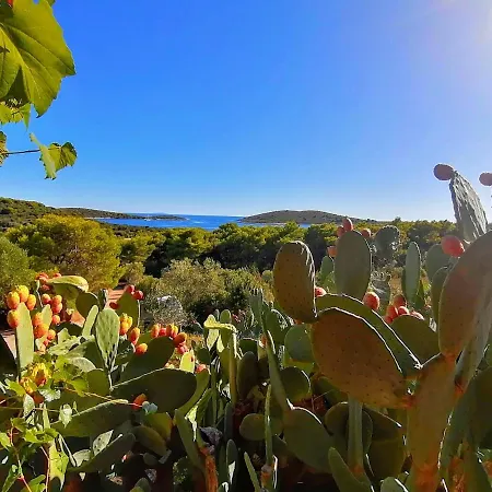 Paradiso - Pakleni Islands Hvar Hvar Town