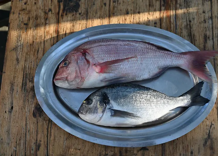 住宿加早餐酒店 Paradiso - Pakleni Islands Hvar 3*