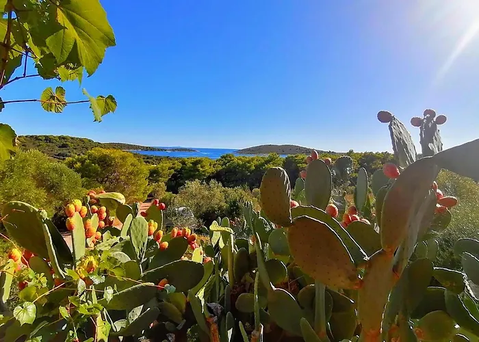 Paradiso - Pakleni Islands Hvar Hvar Town
